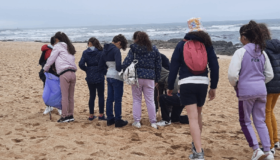 responsabilidade social e ambiental - limpeza de praia